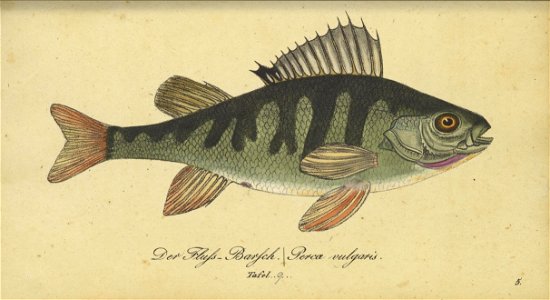 n46_w1150
