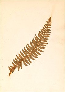 n44_w1150