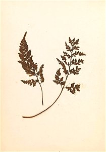 n107_w1150