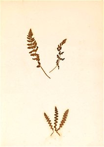 n34_w1150