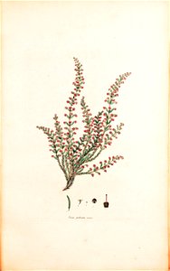 n218_w1150