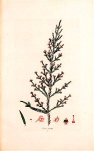 n158_w1150