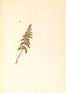 n104_w1150
