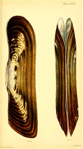 n256_w1150
