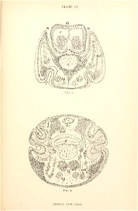 n302_w1150