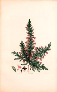 n182_w1150
