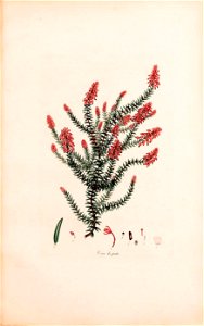 n122_w1150