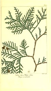 n254_w1150