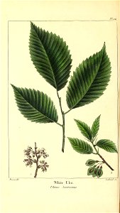 n113_w1150
