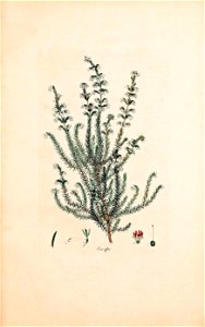 n42_w1150