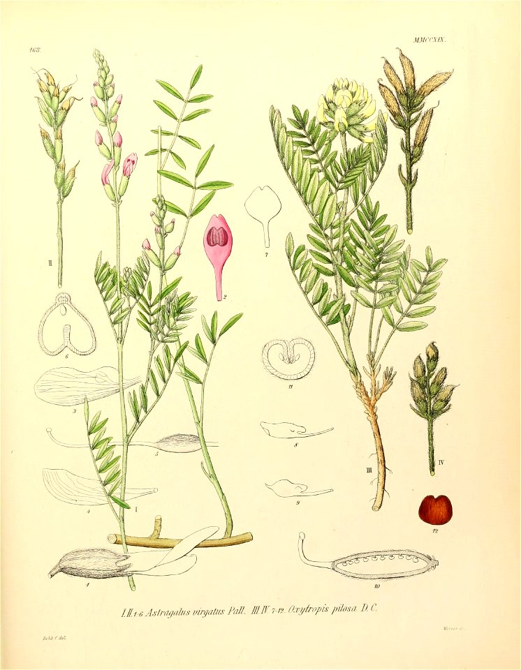 n578_w1150