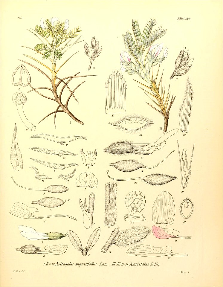 n574_w1150