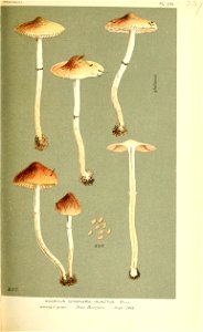 n412_w1150