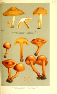 n56_w1150