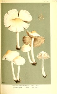 n528_w1150