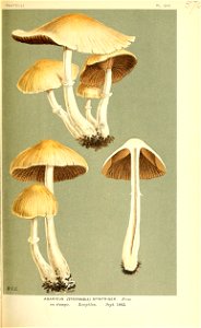 n464_w1150