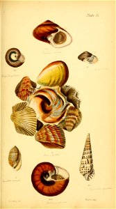 n220_w1150