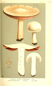 n396_w1150