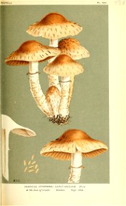 n456_w1150