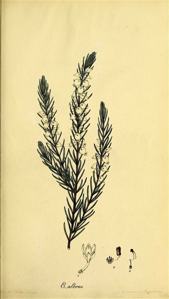 n24_w1150