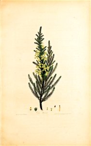 n174_w1150