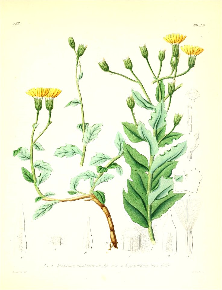 n508_w1150