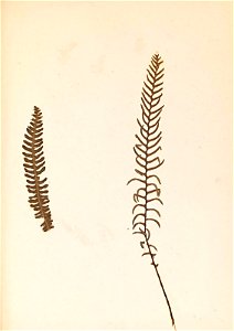 n134_w1150