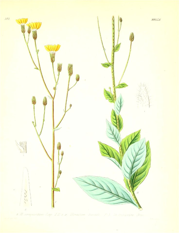 n504_w1150