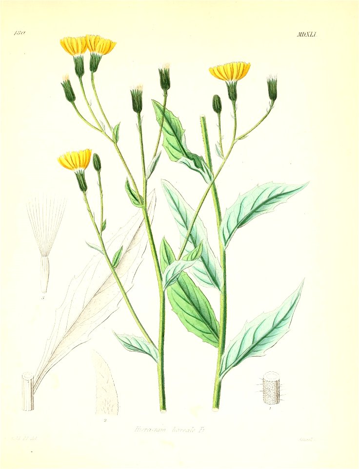 n502_w1150