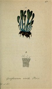 n242_w1150