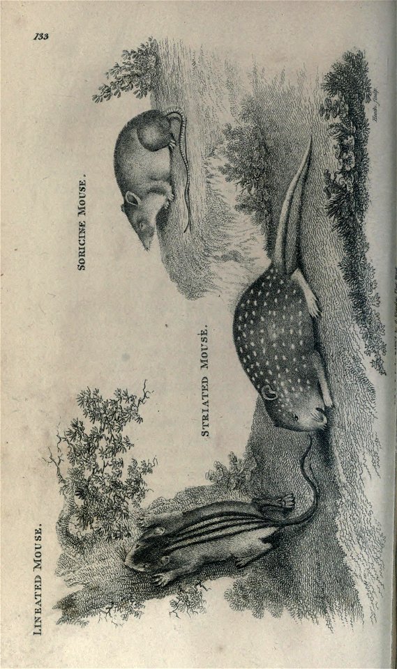 n103_w1150