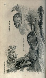 n103_w1150