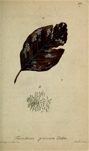 n84_w1150