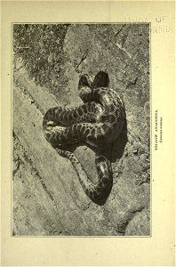 n102_w1150