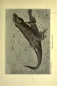 n84_w1150