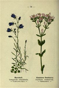 n163_w1150