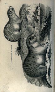 n185_w1150