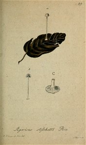 n164_w1150