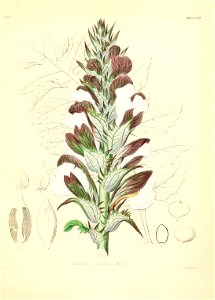 n518_w1150