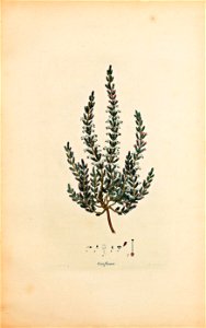 n106_w1150