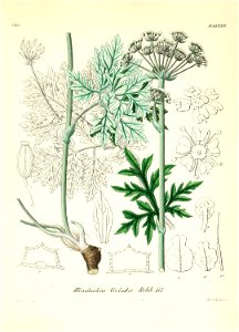n502_w1150