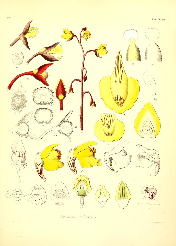 n538_w1150