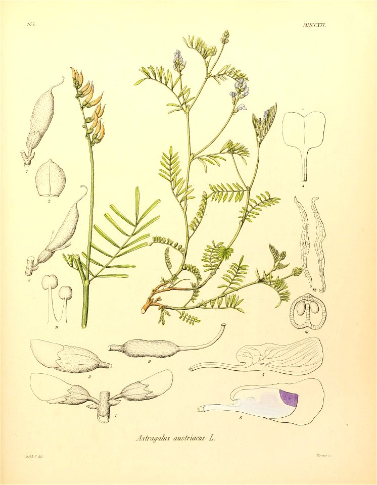 n572_w1150