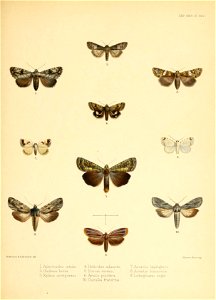 n114_w1150