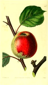 n153_w1150