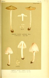 n596_w1150
