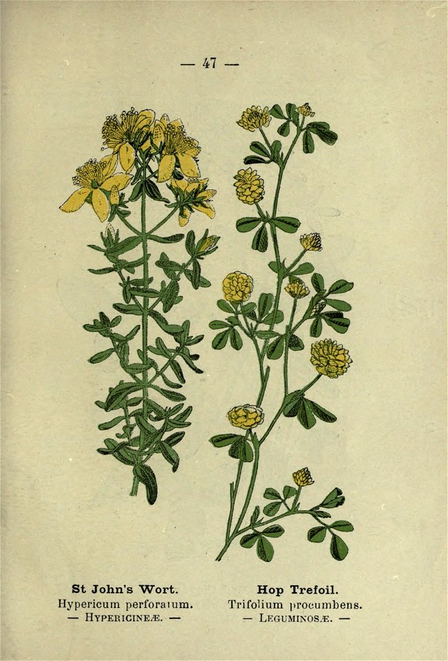 n102_w1150