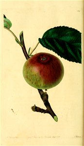 n123_w1150