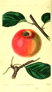 n89_w1150
