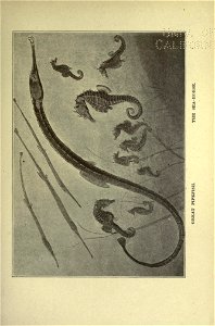 n318_w1150